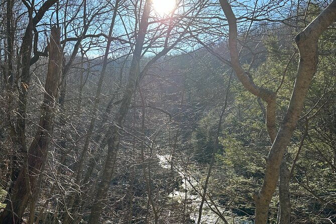 Private Trout Fishing Excursion in Virginia - Experiencing Virginia’s Scenic Rivers