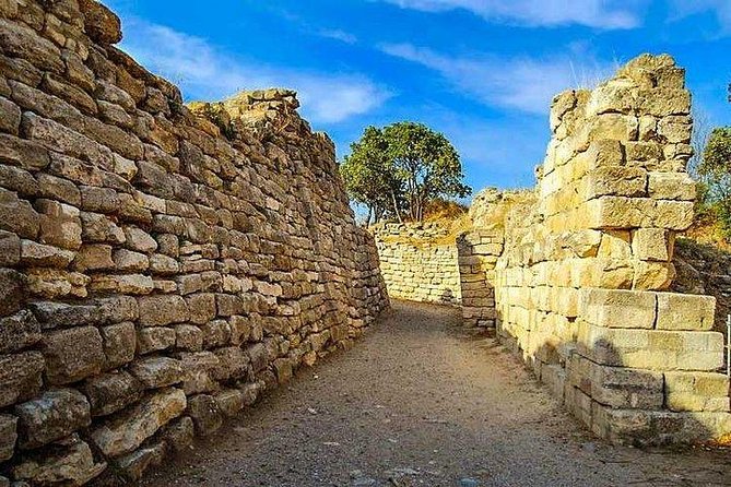 Private Troy Tour From Canakkale Port With Private Guide - Overview and Highlights