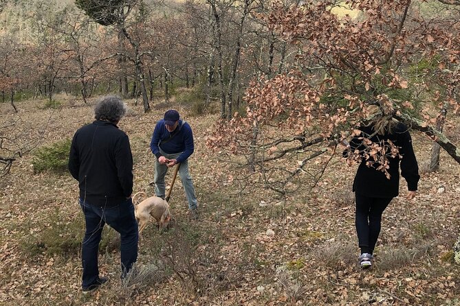 Private Truffle Hunt in Tuscany - Booking Information