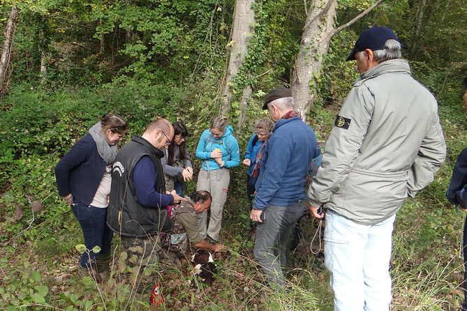 Private Truffle Hunt in Tuscany From Florence - The Sum Up