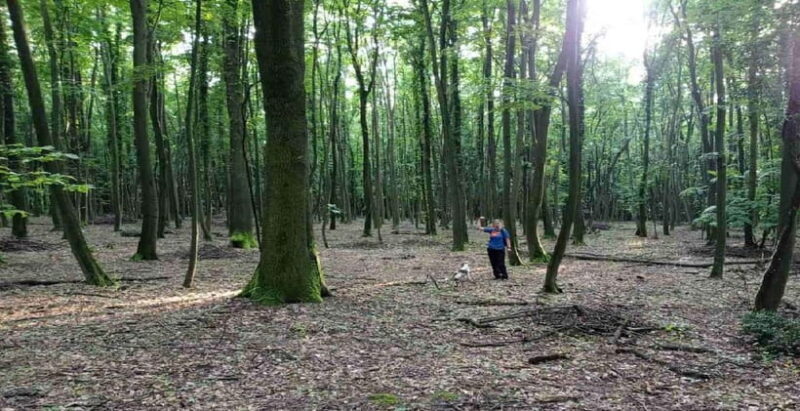 Private TruffleHunting Tour from Belgrade  Lunch with Wine - Good To Know  