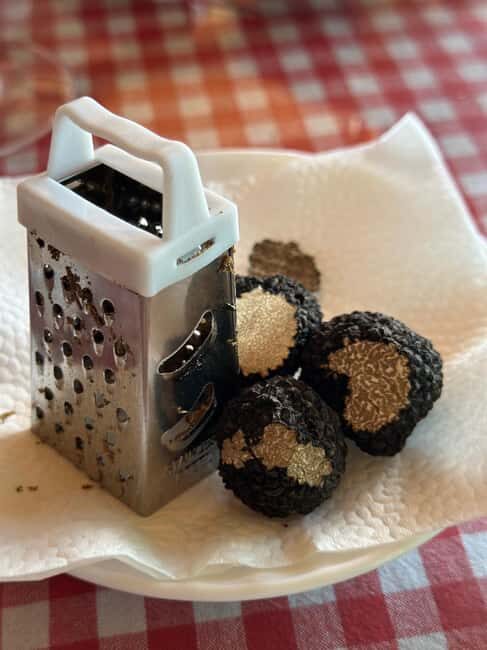 Private TruffleHunting Tour from Belgrade  Lunch with Wine - The Sum Up