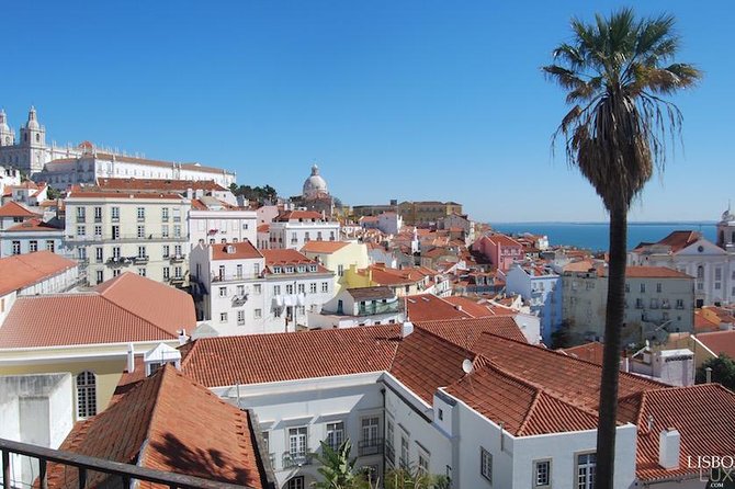 Private Tuk Tuk City Tour of Lisbon 1:30h Tour - Tour Highlights
