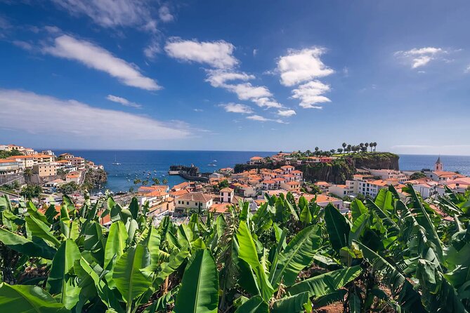 Private Tuk Tuk Tour on Câmara De Lobos, Fishing Village - Cancellation Policy