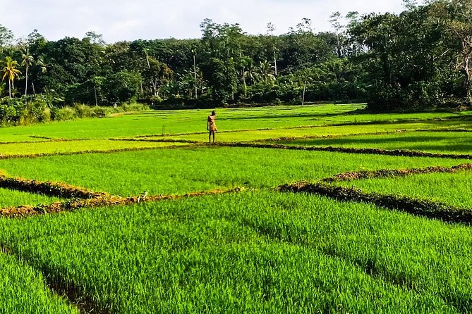 Private Tuk-Tuk Village Tour - From Bentota Hotels - Inclusions and Pricing
