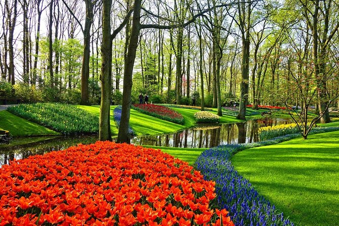 Private Tulip Fields, Windmills and Cheese Tour From Amsterdam - Private Transportation