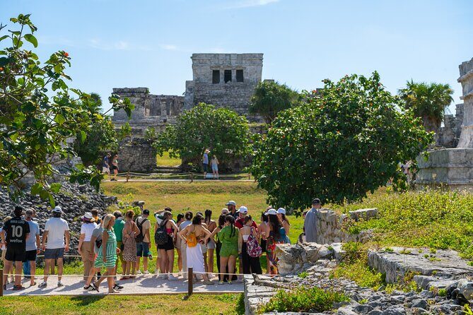 Private Tulum Ruins and Swim with Turtles - A Deep Dive into the Tour Itinerary