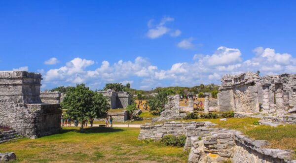 Private Tulum Ruins Express - Transportation and Logistics