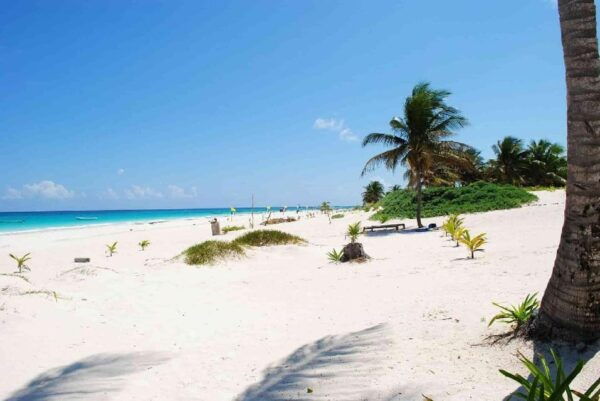 Private Tulum Ruins Express - Frequently Asked Questions