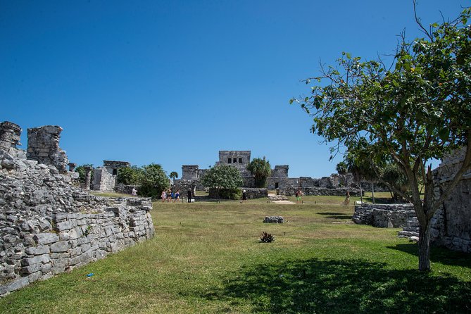 Private Tulum Ruins, Turtles in Akumal and Cenote Adventure - The Sum Up