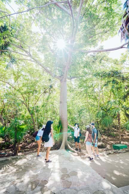 Private Tulum Ruins & Underground Cenote with Lunch Included - The Hidden Magic of the Underground Cenote