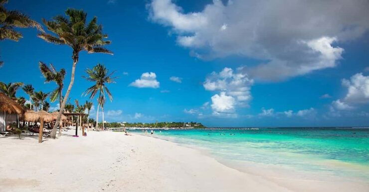 Private Tulum+ Turtles & Cenote & Lunch Transfer Included) - Good To Know