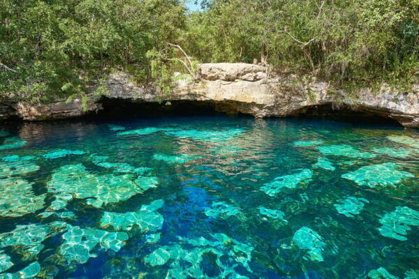 Private Tulum-Yalku & Cenote & Lunch (Transfers Included) - Additional Considerations