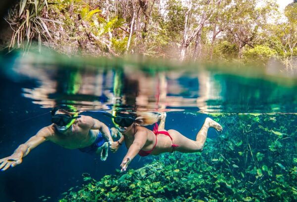 Private Turtle & Cenote Express (Included Transportation) - Transportation and Safety