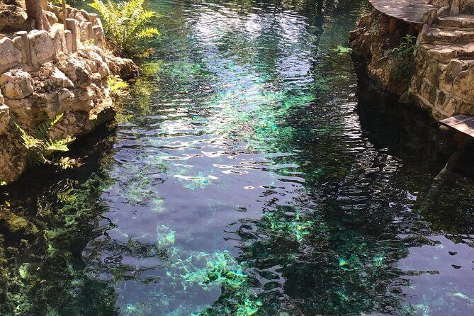 Private Turtle encounter + Cenote Adventure! Express Tour - Who Is This Tour Best For?