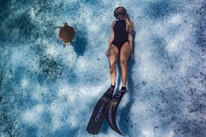 Private Turtle Spotting Snorkeling Excursion in Aruba - The Sum Up