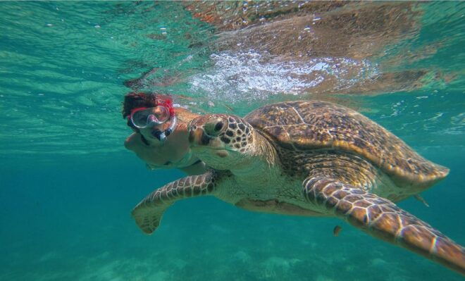 Private Turtles+ ATV Single & Cenote (Transfers Included) - Booking Details