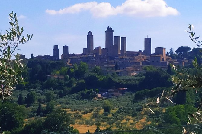 Private Tuscan Cooking Class and Wine Tasting in Radda in Chianti With Giorgia - Additional Information for Participants