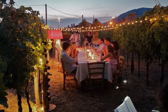 Private Tuscan Wine Tasting With Transport From Lucca - Traveler Photos and Reviews