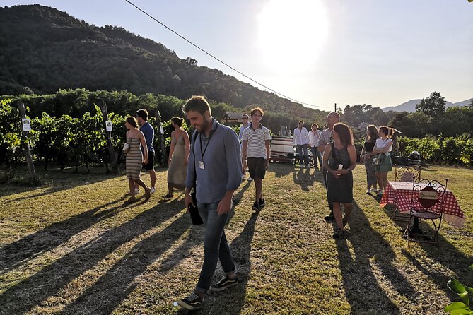 Private Tuscan Wine Tasting With Transport From Lucca - Local Food Pairing