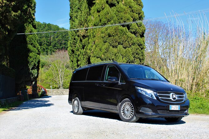 Private Tuscan Wine Tasting With Transport From Lucca - Personalized and Enjoyable Experiences