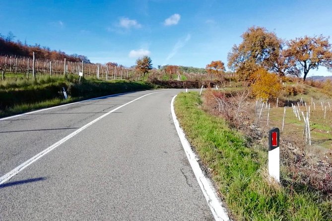 Private Tuscany Cycling Tour From Florence - Whats Included