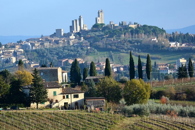 Private Tuscany Day Tour: San Gimignano and Chianti Wine Region From Florence - Good To Know