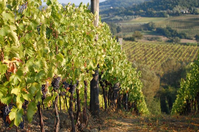 Private Tuscany Day Tour: San Gimignano and Chianti Wine Region From Florence - Booking Options and Flexibility