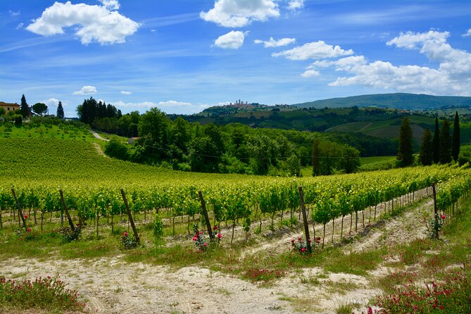 Private Tuscany Day Tour: San Gimignano and Chianti Wine Region From Florence - Booking and Reservation Process