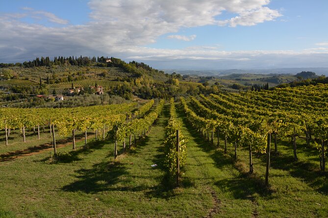 Private Tuscany Day Tour: San Gimignano and Chianti Wine Region From Florence - Additional Information