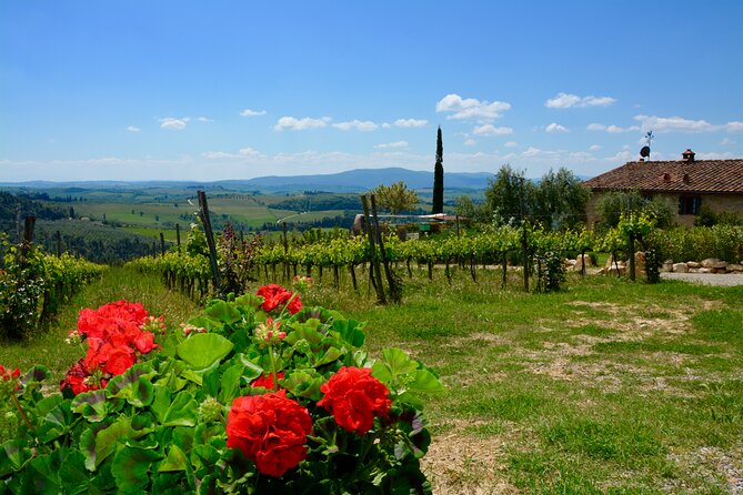 Private Tuscany Day Tour: San Gimignano and Chianti Wine Region From Florence - Tour Highlights and Itinerary
