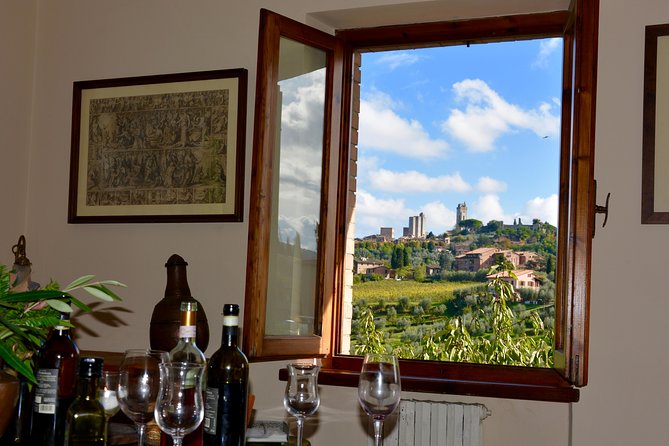 Private Tuscany Day Trip From Florence Including the Leaning Tower of Pisa - Reviews
