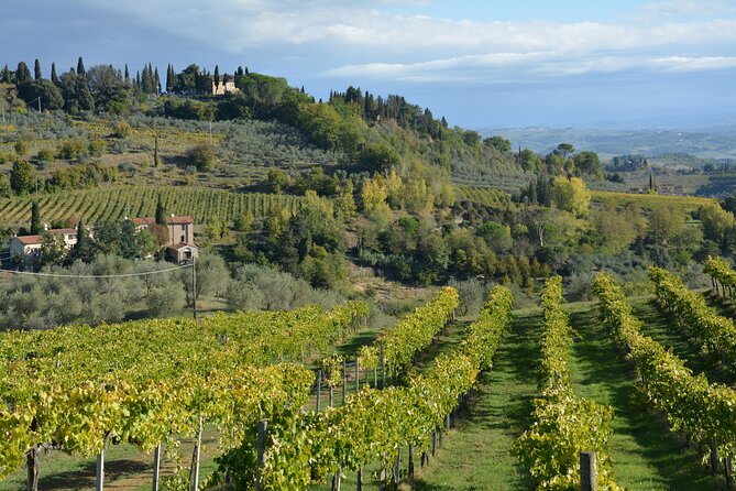 Private Tuscany Day Trip From Florence Including the Leaning Tower of Pisa - Additional Information