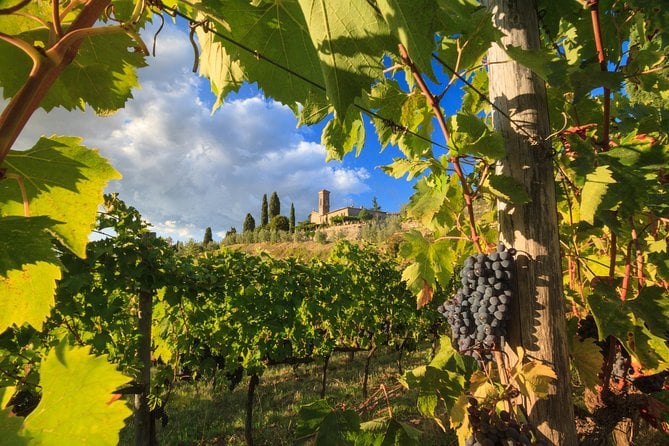 Private Tuscany Tour From Florence Including Siena, San Gimignano and Chianti Wine Region - Pricing and Booking Details