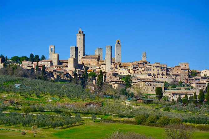 Private Tuscany Tour From Florence Including the Leaning Tower of Pisa and Sangimignano - Tour Highlights