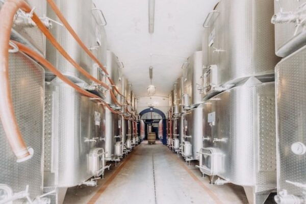 Private Tuscany Wine Tour: Chianti Wine Safari From Florence - The Sum Up
