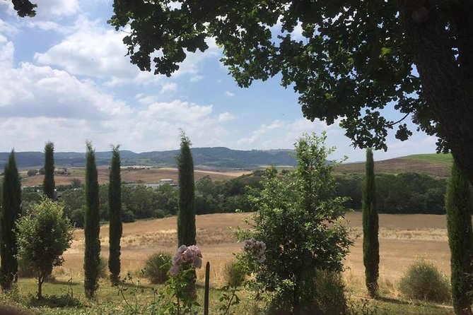 Private Tuscany Wine Tour Experience From Florence - Tour Highlights and Itinerary