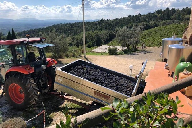 Private Tuscany Wine Tour Experience From Florence - Guide and Driver