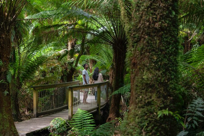 Private Two Day Great Ocean Road Tour - Traveler Reviews