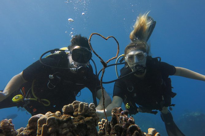 Private Two Person Scuba Dive in Kaanapali - Scuba Diving Experience in Kaanapali