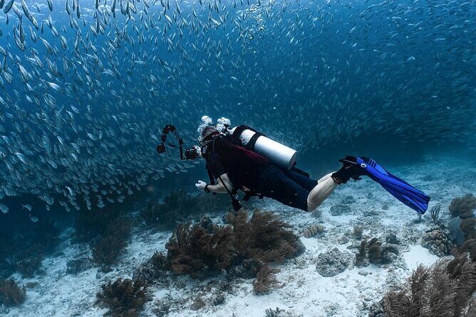 Private Two Tank Boat Dive in Bonaire 2 persons - Final Verdict: Is It Worth It?