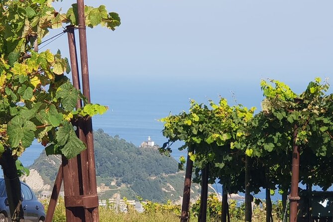 Private Txakoli Winery Tour With Tastings in Getaria - Traveler Photos