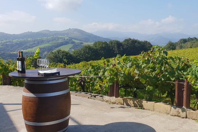 Private Txakoli Winery Tour With Tastings in Getaria - Additional Information