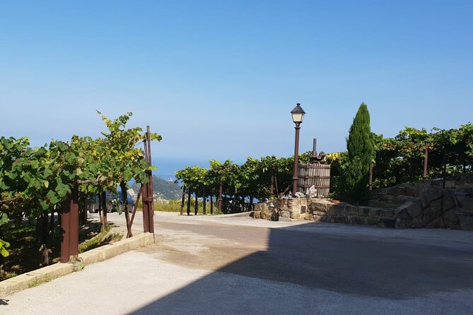 Private Txakoli Winery Tour With Tastings in Getaria - Directions