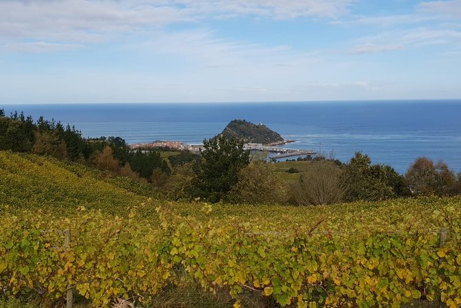 Private Txakoli Winery Tour With Tastings in Getaria - Tour Highlights