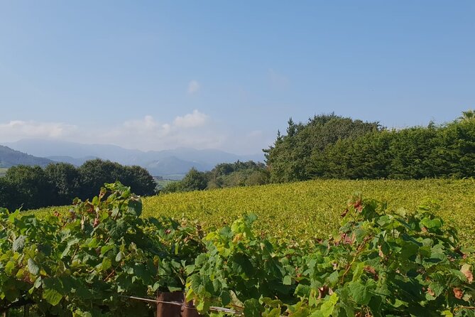 Private Txakoli Winery Tour With Tastings in Getaria - Common Questions