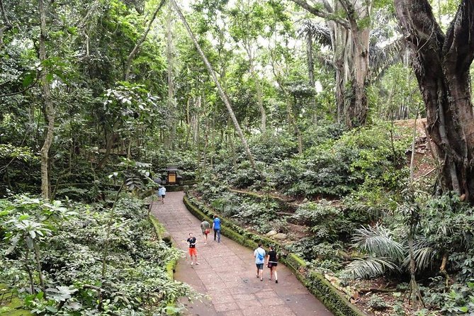 Private Ubud Day Tour - Reviews and Ratings