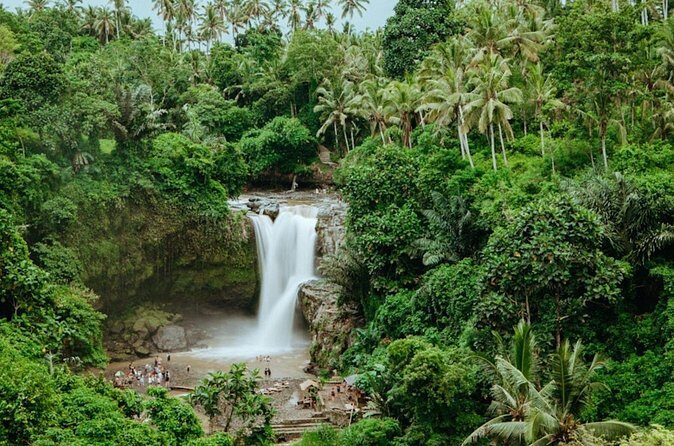 Private Ubud Day Tour Waterfalls Sacred Monkeys and Rice Fields - The Sum Up