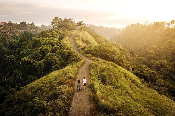Private Ubud Full Day Tour - Price and Booking