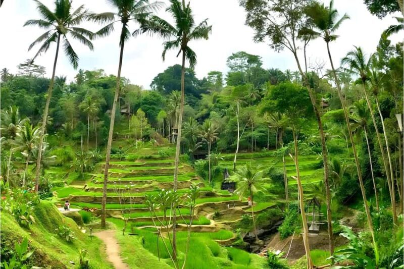 Private Ubud Highlights Midday Tour with Flexible Pickup - Practical Tips for Your Day